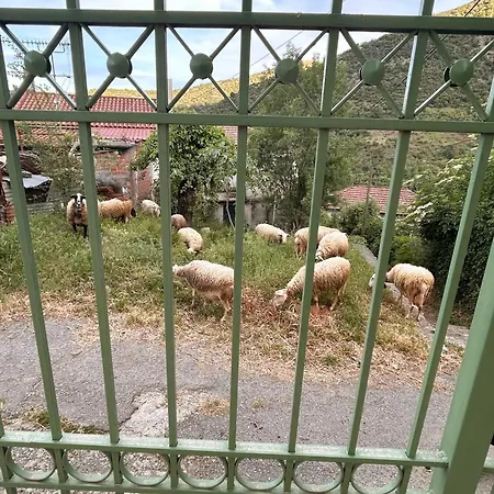 Σπίτι διακοπών Galini Retreat *