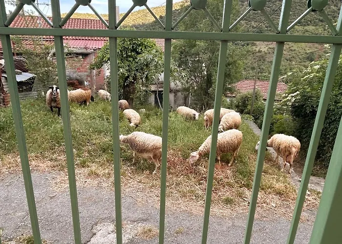 Dom wakacyjny Galini Retreat *